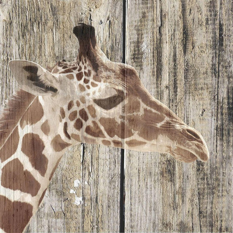 Wildheads Giraffe White Modern Wood Framed Art Print with Double Matting by Smith, Karen