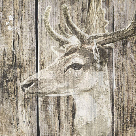 Wildheads Stag White Modern Wood Framed Art Print by Smith, Karen