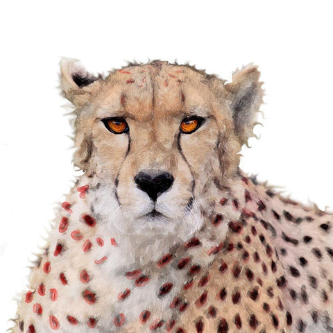 Cheetah Paint White Modern Wood Framed Art Print with Double Matting by Smith, Karen