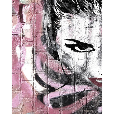 Wall Flower Black Modern Wood Framed Art Print with Double Matting by Smith, Karen