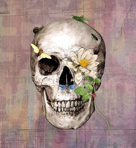 Bugskull White Modern Wood Framed Art Print with Double Matting by Smith, Karen