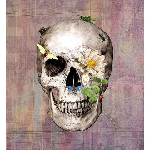 Bugskull Black Modern Wood Framed Art Print by Smith, Karen