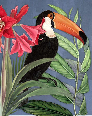 Toucan Jungle I Black Ornate Wood Framed Art Print with Double Matting by Smith, Karen