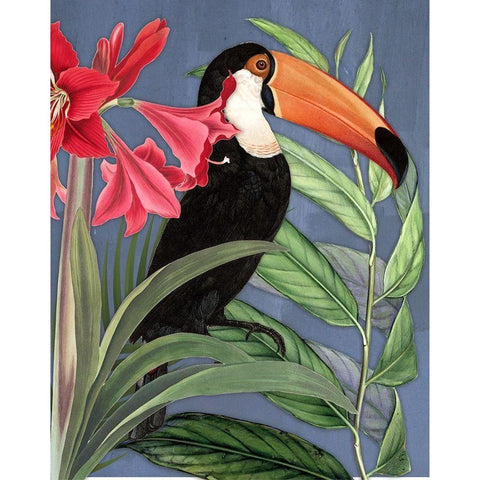 Toucan Jungle I Black Modern Wood Framed Art Print with Double Matting by Smith, Karen