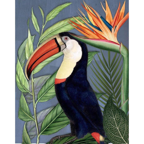 Toucan Jungle II Black Modern Wood Framed Art Print with Double Matting by Smith, Karen