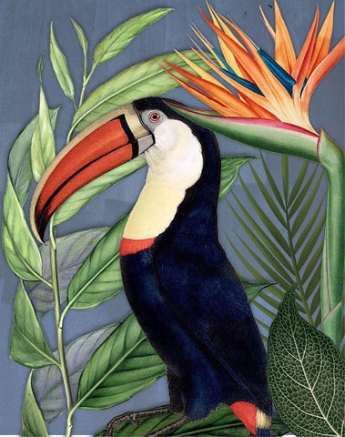 Toucan Jungle II Black Ornate Wood Framed Art Print with Double Matting by Smith, Karen