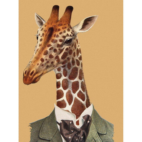 Posh Giraffe White Modern Wood Framed Art Print by Smith, Karen