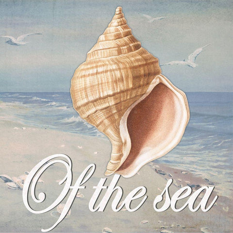 Of the Sea  White Modern Wood Framed Art Print with Double Matting by Smith, Karen