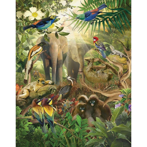 Jungle Mix IV White Modern Wood Framed Art Print by Hunziker, Steve