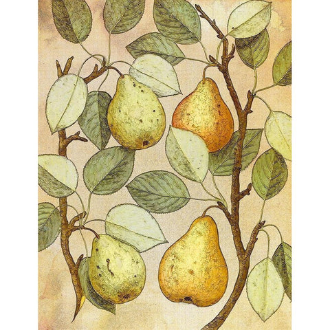 Botanical Grunge II White Modern Wood Framed Art Print by Hunziker, Steve