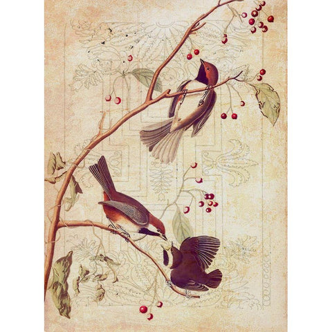 Classic Avion I White Modern Wood Framed Art Print by Hunziker, Steve