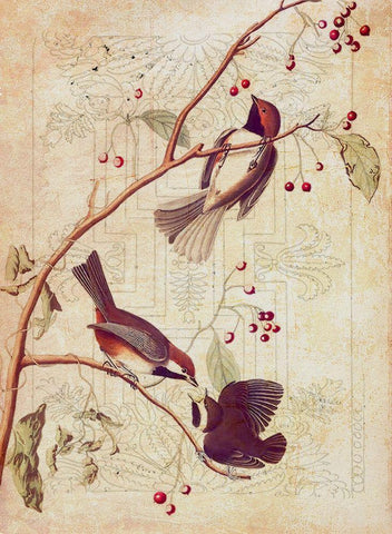 Classic Avion I White Modern Wood Framed Art Print with Double Matting by Hunziker, Steve