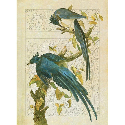 Classic Avion II Gold Ornate Wood Framed Art Print with Double Matting by Hunziker, Steve