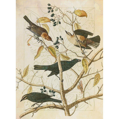 Classic Avion III Gold Ornate Wood Framed Art Print with Double Matting by Hunziker, Steve