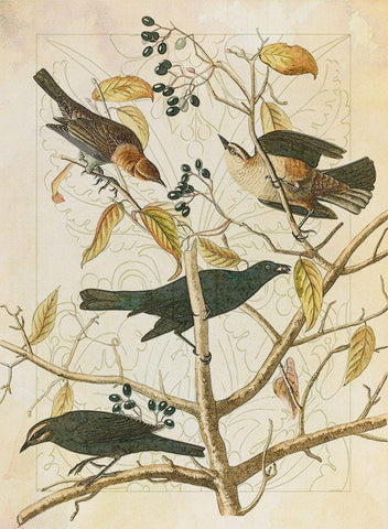 Classic Avion III Black Ornate Wood Framed Art Print with Double Matting by Hunziker, Steve