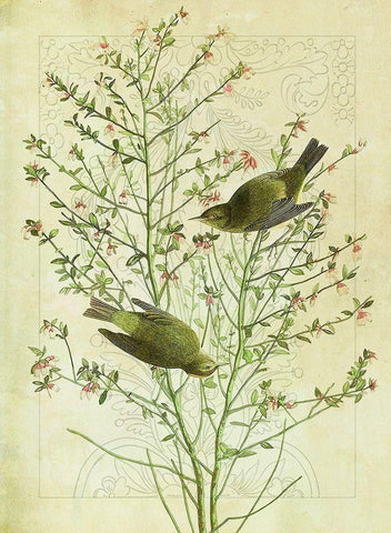 Classic Avion IV White Modern Wood Framed Art Print with Double Matting by Hunziker, Steve