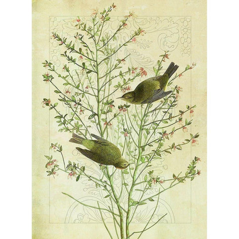 Classic Avion IV Black Modern Wood Framed Art Print by Hunziker, Steve