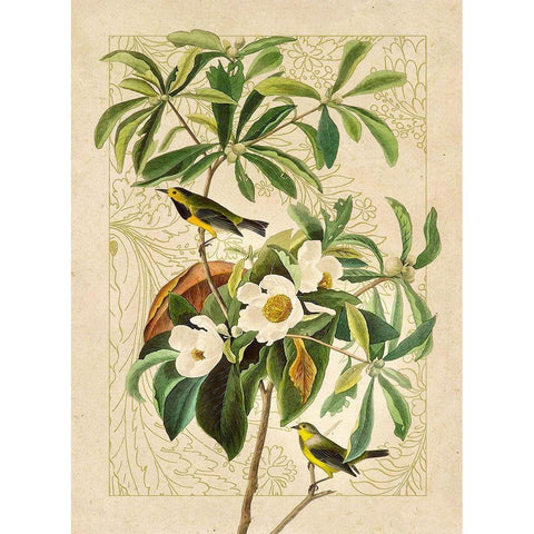 Classic Avion V Gold Ornate Wood Framed Art Print with Double Matting by Hunziker, Steve