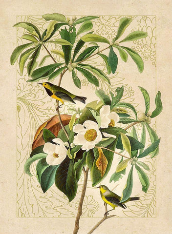 Classic Avion V White Modern Wood Framed Art Print with Double Matting by Hunziker, Steve