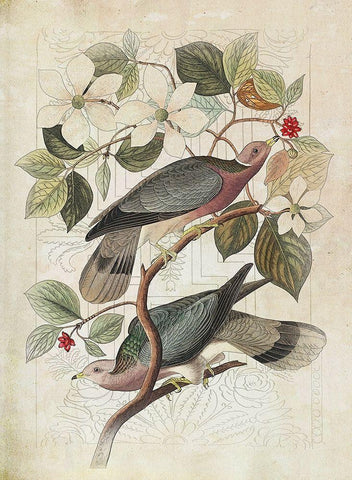 Classic Avion VI White Modern Wood Framed Art Print with Double Matting by Hunziker, Steve