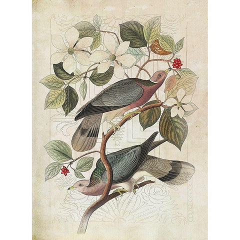 Classic Avion VI Gold Ornate Wood Framed Art Print with Double Matting by Hunziker, Steve