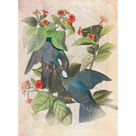 Classic Avion VII Black Modern Wood Framed Art Print with Double Matting by Hunziker, Steve