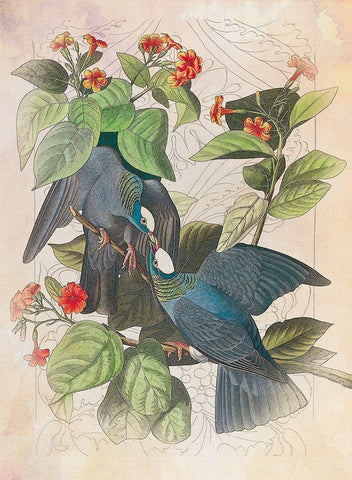 Classic Avion VII Black Ornate Wood Framed Art Print with Double Matting by Hunziker, Steve