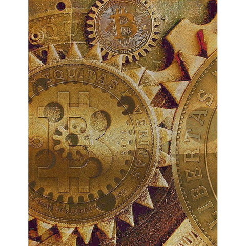 Grunge Bitcoin  Gold Ornate Wood Framed Art Print with Double Matting by Hunziker, Steve