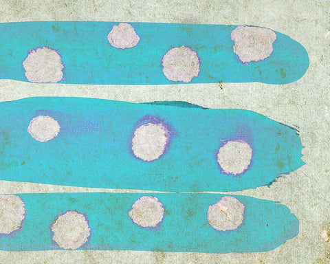 Micro World III Black Ornate Wood Framed Art Print with Double Matting by Surma, Agata