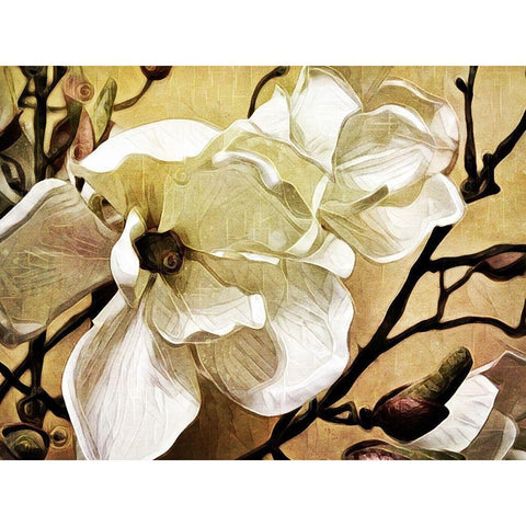 Majestic Magnolia Black Modern Wood Framed Art Print by Aldridge, Ashley