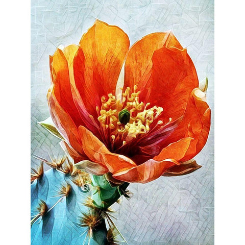 Blood Orange Beauty II White Modern Wood Framed Art Print by Aldridge, Ashley