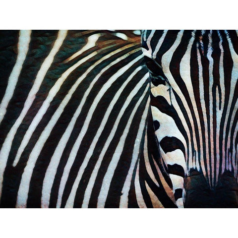 Black and White Zebra Stripes I White Modern Wood Framed Art Print by Aldridge, Ashley