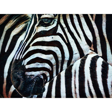 Black and White Zebra Stripes II Black Modern Wood Framed Art Print with Double Matting by Aldridge, Ashley