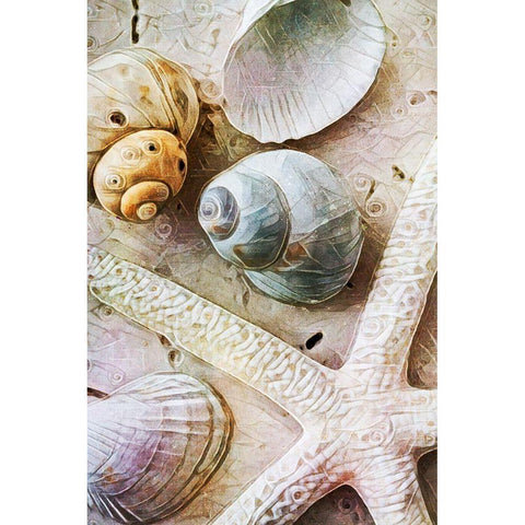 Seashells on Sand  Starfish on Land I White Modern Wood Framed Art Print by Aldridge, Ashley