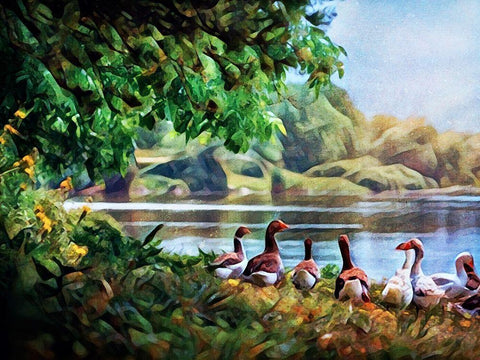 Gaggle of Geese  White Modern Wood Framed Art Print with Double Matting by Aldridge, Ashley