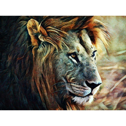 Lion Stalking Prey White Modern Wood Framed Art Print by Aldridge, Ashley