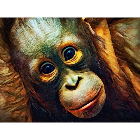 Baby Orangutan Observation Black Modern Wood Framed Art Print with Double Matting by Aldridge, Ashley