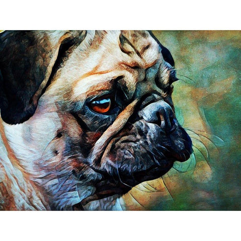 Fawn Pug Fascination  White Modern Wood Framed Art Print by Aldridge, Ashley