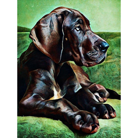 Great Dane Puppy Perfection Black Modern Wood Framed Art Print with Double Matting by Aldridge, Ashley