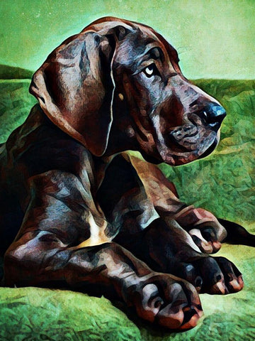 Great Dane Puppy Perfection Black Ornate Wood Framed Art Print with Double Matting by Aldridge, Ashley