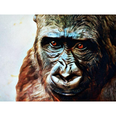 Gorilla Gazing Graciously Gold Ornate Wood Framed Art Print with Double Matting by Aldridge, Ashley