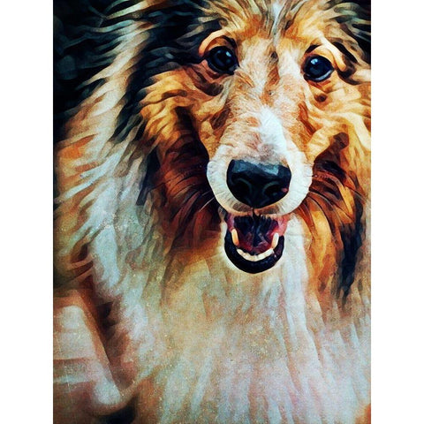 Rough Collie So Jolly Black Modern Wood Framed Art Print with Double Matting by Aldridge, Ashley