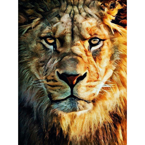 Lion Stare Down White Modern Wood Framed Art Print by Aldridge, Ashley