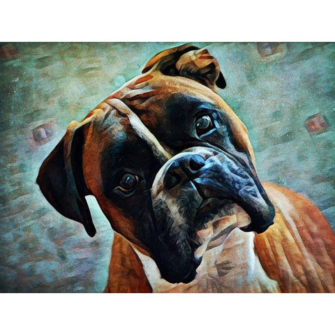 German Boxer Intrigue Black Modern Wood Framed Art Print with Double Matting by Aldridge, Ashley