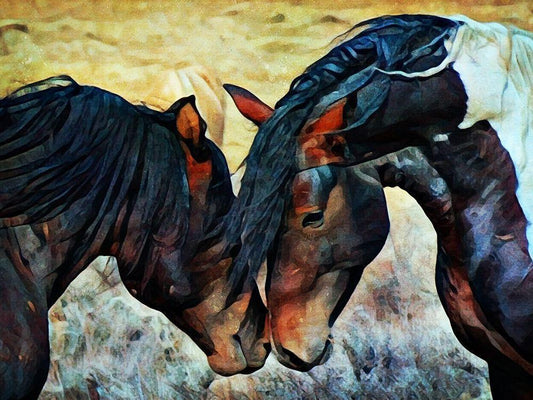 Image Only