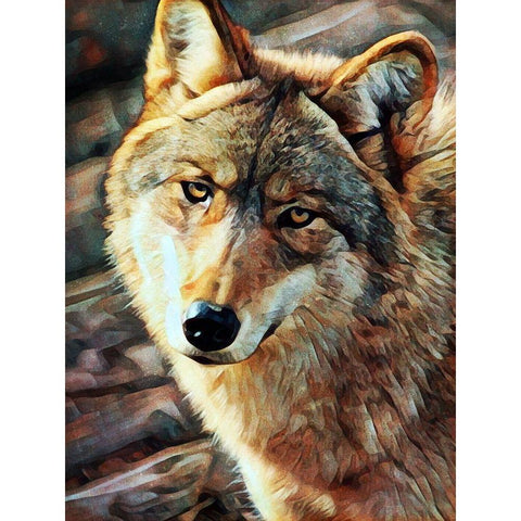 Gray Wolf Glare Black Modern Wood Framed Art Print with Double Matting by Aldridge, Ashley