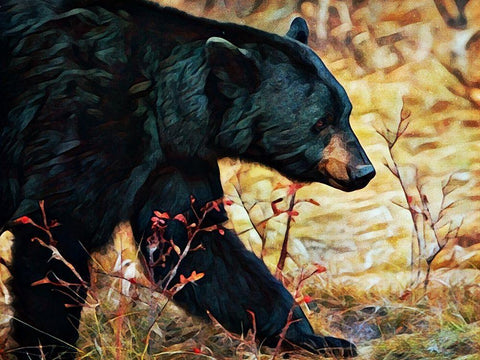 Black Bear Scrubland Stroll Black Ornate Wood Framed Art Print with Double Matting by Aldridge, Ashley