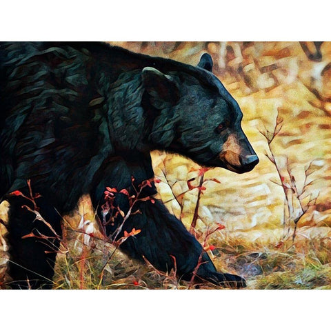 Black Bear Scrubland Stroll White Modern Wood Framed Art Print by Aldridge, Ashley