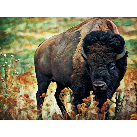 American Bison Grassland Graze White Modern Wood Framed Art Print by Aldridge, Ashley