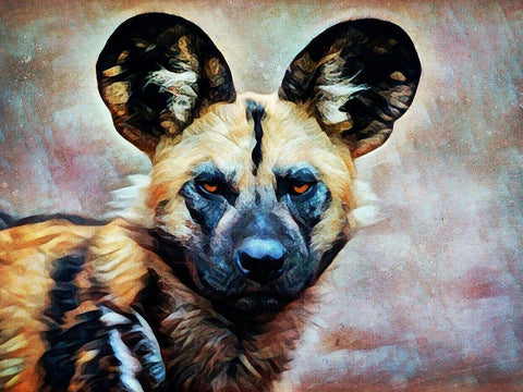 African Wild Dog Watch White Modern Wood Framed Art Print with Double Matting by Aldridge, Ashley